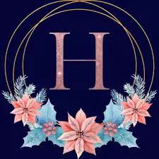 h name dp download